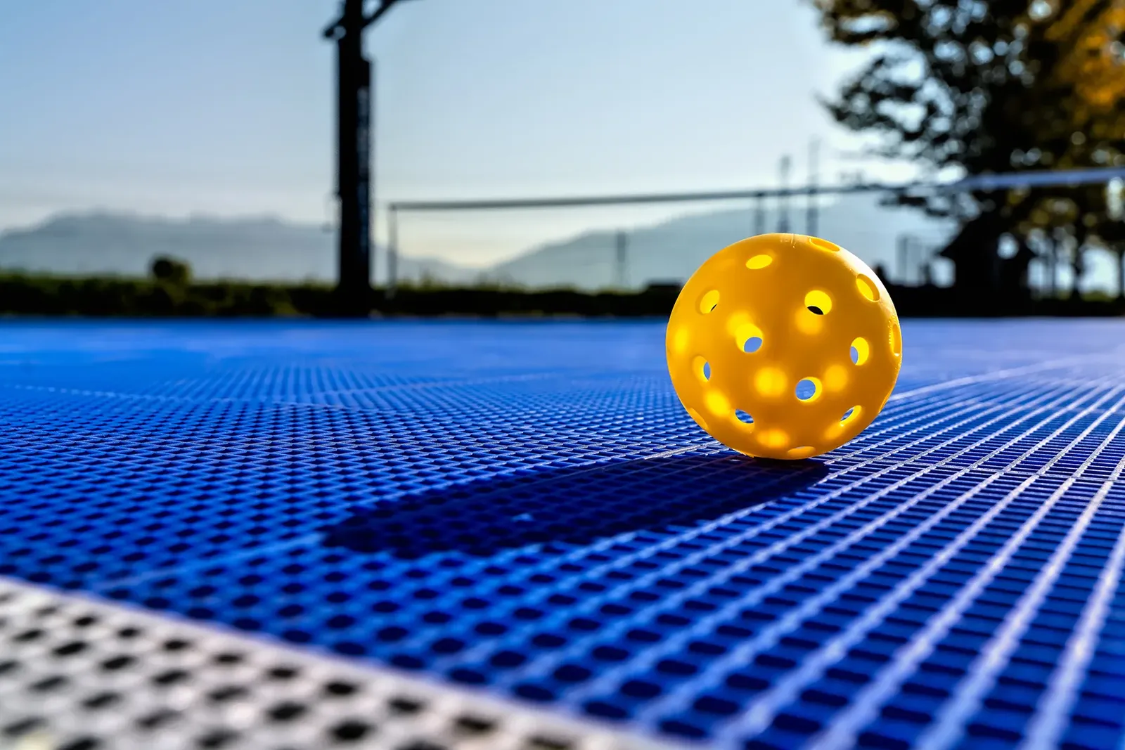 Indoor vs Outdoor Pickleball Courts: Which Should You Play On?