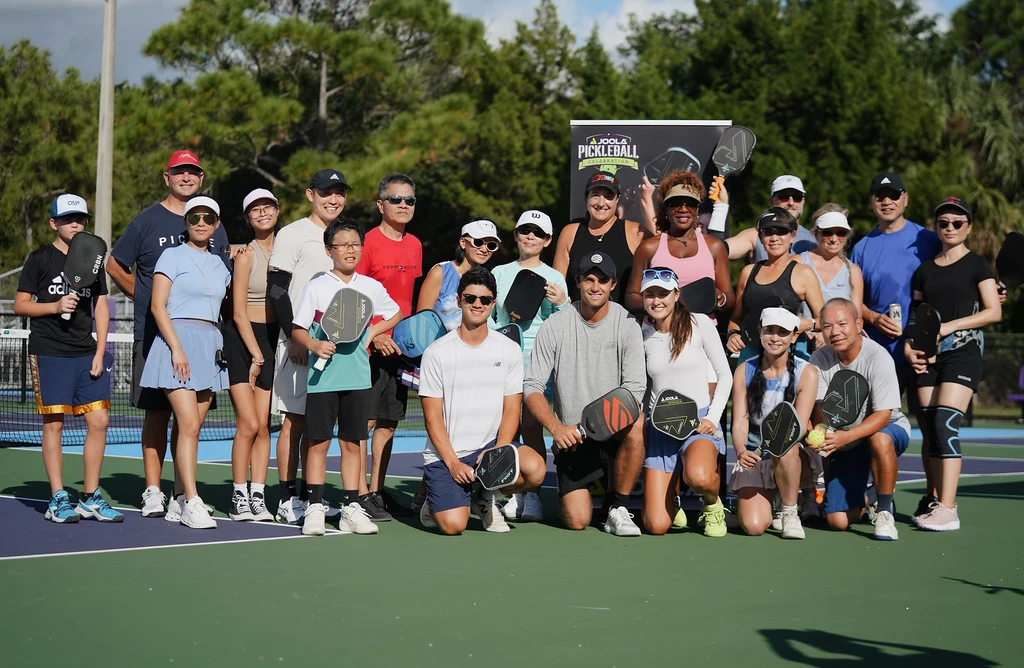 Where to Play Pickleball In: Japan